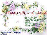 Đề tài Tế bào gốc – tế bào mầm