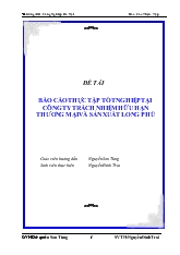 Đề tài Thực tập tốt nghiệp tại công ty trách nhiệm hữu hạn thương mại và sản xuất Long Phú