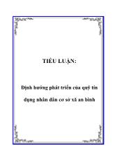 Định hướng phát triển của quỹ tín dụng nhân dân cơ sở xã An Bình