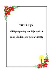 Giải pháp nâng cao hiệu quả sử dụng vốn tại công ty bia Việt Hà