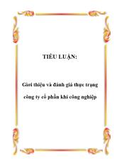 Giới thiệu và đánh giá thực trạng công ty cổ phần khí công nghiệp