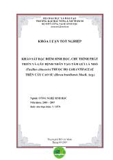 Khảo sát đặc điểm sinh học, chu trình phát triển và gây bệnh nhân tạo tầm gửi lá nhỏ (Taxillus chinensis) thuộc họ loranthaceae trên cây cao su (Hevea brasiliensis Muell. Arg.)