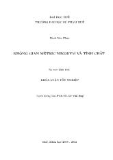 Không gian Mêtric Nikodym và tính chất