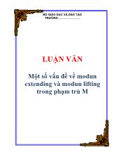 Một số vấn đề về modun extending và modun lifting trong phạm trù ơ(M)