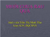 Muối chua rau quả