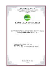 Phân biệt các loại thịt heo, bõ, cừu bằng phương pháp Multiplex PCR
