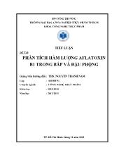 Phân tích hàm lượng Aflatoxin B1 trong bắp và đậu phộng