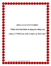 Phân tích tình hình sử dụng lao động của công ty trách nhiệm hữu hạn sản xuất và dịch vụ Mai Lâm