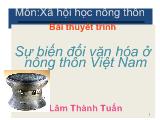 Sự biến đổi văn hóa ở nông thôn Việt Nam