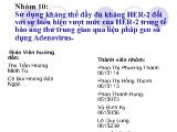 Sử dụng kháng thể đầy đủ kháng HER-2 đối với sự biểu hiện vượt mức của HER-2 trong tế bào ung thư trung gian qua liệu pháp gen sử dụng Adenovirus