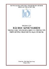 Tham luận bài học kinh nghiệm trong việc ngầm hóa điện và thông tin trên đường Trần Hưng Đạo (thành phố Hồ Chí Minh)