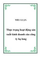 Thực trạng hoạt động sản xuất kinh doanh của công ty Hạ Long