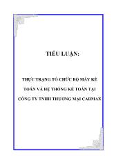 Thực trạng tổ chức bộ máy kế toán và hệ thống kế toán tại công ty trách nhiệm hữu hạn thương mại Carmax
