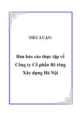 Tiểu luận Bản thực tập về Công ty Cổ phần Bê tông Xây dựng Hà Nội