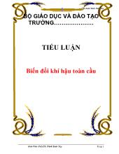 Tiểu luận Biến đổi khí hậu toàn cầu