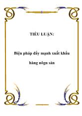Tiểu luận Biện pháp đẩy mạnh xuất khẩu hàng nông sản