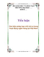 Tiểu luận Các biện pháp hạn chế rủi ro trong hoạt động ngân hàng tại Việt Nam