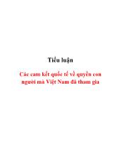 Tiểu luận Các cam kết quốc tế về quyền con người mà Việt Nam đã tham gia