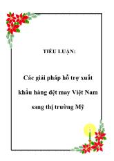 Tiểu luận Các giải pháp hỗ trợ xuất khẩu hàng dệt may Việt Nam sang thị trường Mỹ