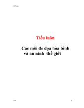 Tiểu luận Các mối đe dọa hòa bình và an ninh thế giới