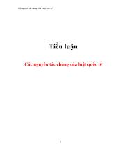Tiểu luận Các nguyên tác chung của luật quốc tế