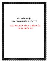 Tiểu luận Các nguyên tắc cơ bản của luật quốc tế