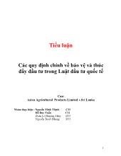 Tiểu luận Các quy định chính về bảo vệ và thúc đẩy đầu tư trong Luật đầu tư quốc tế