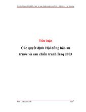 Tiểu luận Các quyết định Hội đồng bảo an trước và sau chiến tranh Iraq 2003