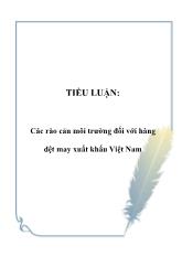 Tiểu luận Các rào cản môi trường đối với hàng dệt may xuất khẩu Việt Nam