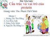 Tiểu luận Cấu trúc và vai trò của protein