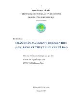 Tiểu luận Chẩn đoán Aujeszky’s Disease Virus (ADV) bằng kỹ thuật nuôi cấy tế bào