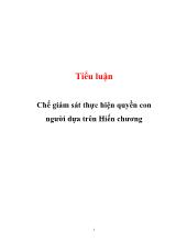Tiểu luận Chế giám sát thực hiện quyền con người dựa trên Hiến chương