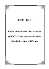 Tiểu luận Cơ hội và thách thức của các doanh nghiệp Việt Nam trong quá trình hội nhập kinh tế quốc tế hiện nay