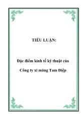 Tiểu luận Đặc điểm kinh tế kỹ thuật của Công ty xi măng Tam Điệp