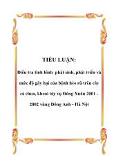 Tiểu luận Điều tra tình hình phát sinh, phát triển và mức độ gây hại của bệnh héo rũ trên cây cà chua, khoai tây vụ Đông Xuân 2001 -2002 vùng Đông Anh - Hà Nội