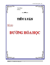 Tiểu luận Đường hóa học