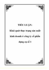 Tiểu luận Khái quát thực trạng sản xuất kinh doanh ở công ty cổ phần dụng cụ số 1