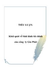 Tiểu luận Khái quát về tình hình tài chính của công ty Gia Phát