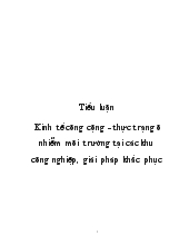 Tiểu luận Kinh tế công cộng - Thực trạng ô nhiễm môi trường tại các khu công nghiệp, giải pháp khắc phục