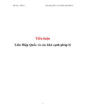 Tiểu luận Liên Hiệp Quốc và các khá cạnh pháp lý