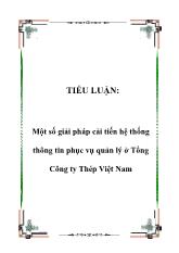 Tiểu luận Một số giải pháp cải tiến hệ thống thông tin phục vụ quản lý ở Tổng Công ty Thép Việt Nam