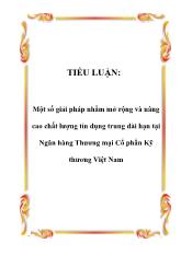 Tiểu luận Một số giải pháp nhằm mở rộng và nâng cao chất lượng tín dụng trung dài hạn tại Ngân hàng Thương mại Cổ phần Kỹ thương Việt Nam