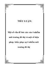 Tiểu luận Một số vấn đề bức xúc của ô nhiễm môi trường đô thị và một số biện pháp khắc phục sự ô nhiễm môi trường đô thị