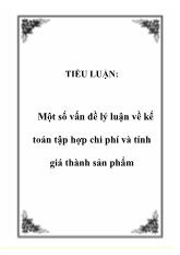 Tiểu luận Một số vấn đề lý luận về kế toán tập hợp chi phí và tính giá thành sản phẩm