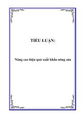 Tiểu luận Nâng cao hiệu quả xuất khẩu nông sản