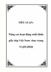 Tiểu luận Nâng cao hoạt động xuất khẩu giầy dép Việt Nam- Thực trạng và giải pháp