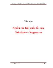 Tiểu luận Nguồn của luật quốc tế- Case Gabcikovo –Nagymaros