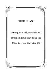 Tiểu luận Những hạn chế, mục tiêu và phương hướng hoạt động của Công ty trong thời gian tới