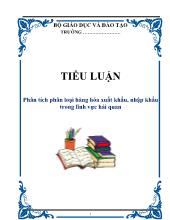 Tiểu luận Phân tích phân loại hàng hóa xuất khẩu, nhập khẩu trong lĩnh vực hải quan