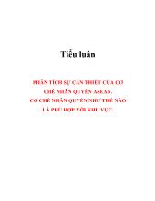 Tiểu luận Phân tích sự cần thiết của cơ chế nhân quyền ASEAN. Cơ chế nhân quyền như thế nào là phù hợp với khu vực